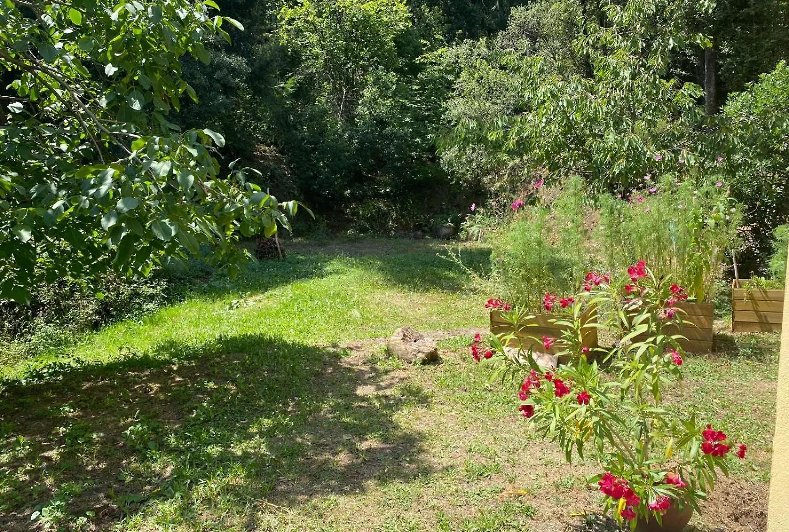 El Sui Apartment Montseny Spain