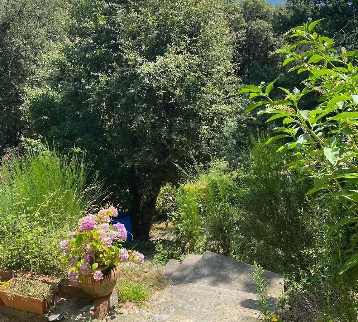 El Sui Apartment Montseny