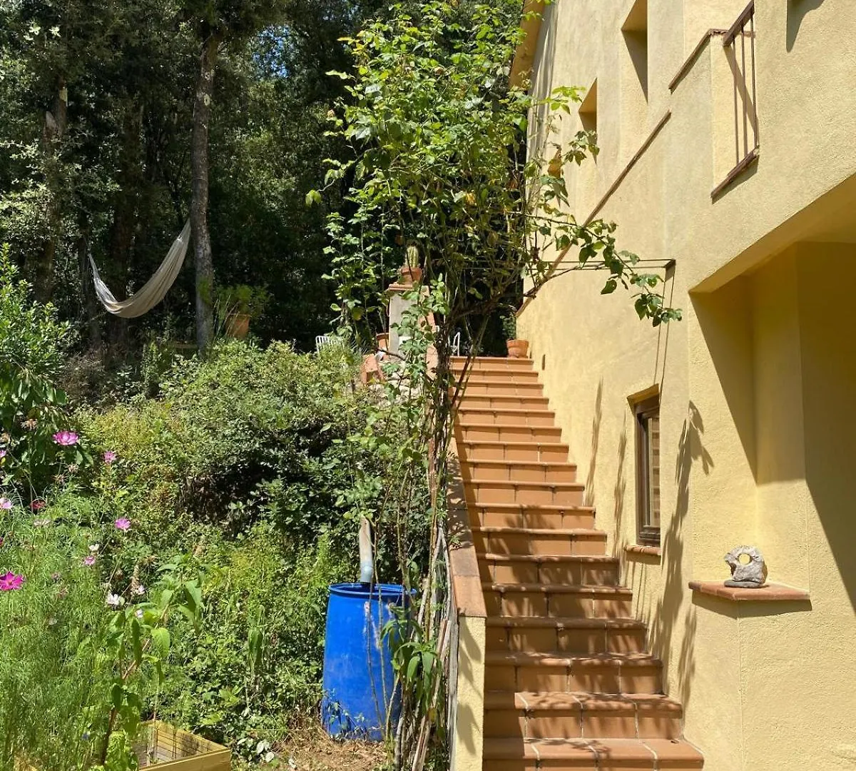 El Sui Apartment Montseny